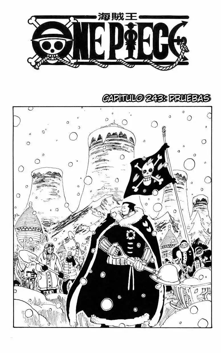 One Piece (1997) - Capítulo 243 - Página 1 - LectorTMOo