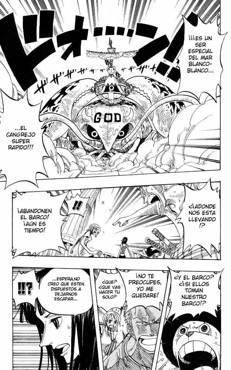 One Piece (1997) - Capítulo 243 - Página 11 - LectorTMOo