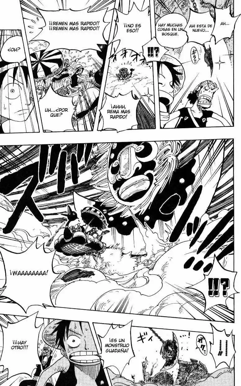 One Piece (1997) - Capítulo 245 - Página 5 - LectorTMOo