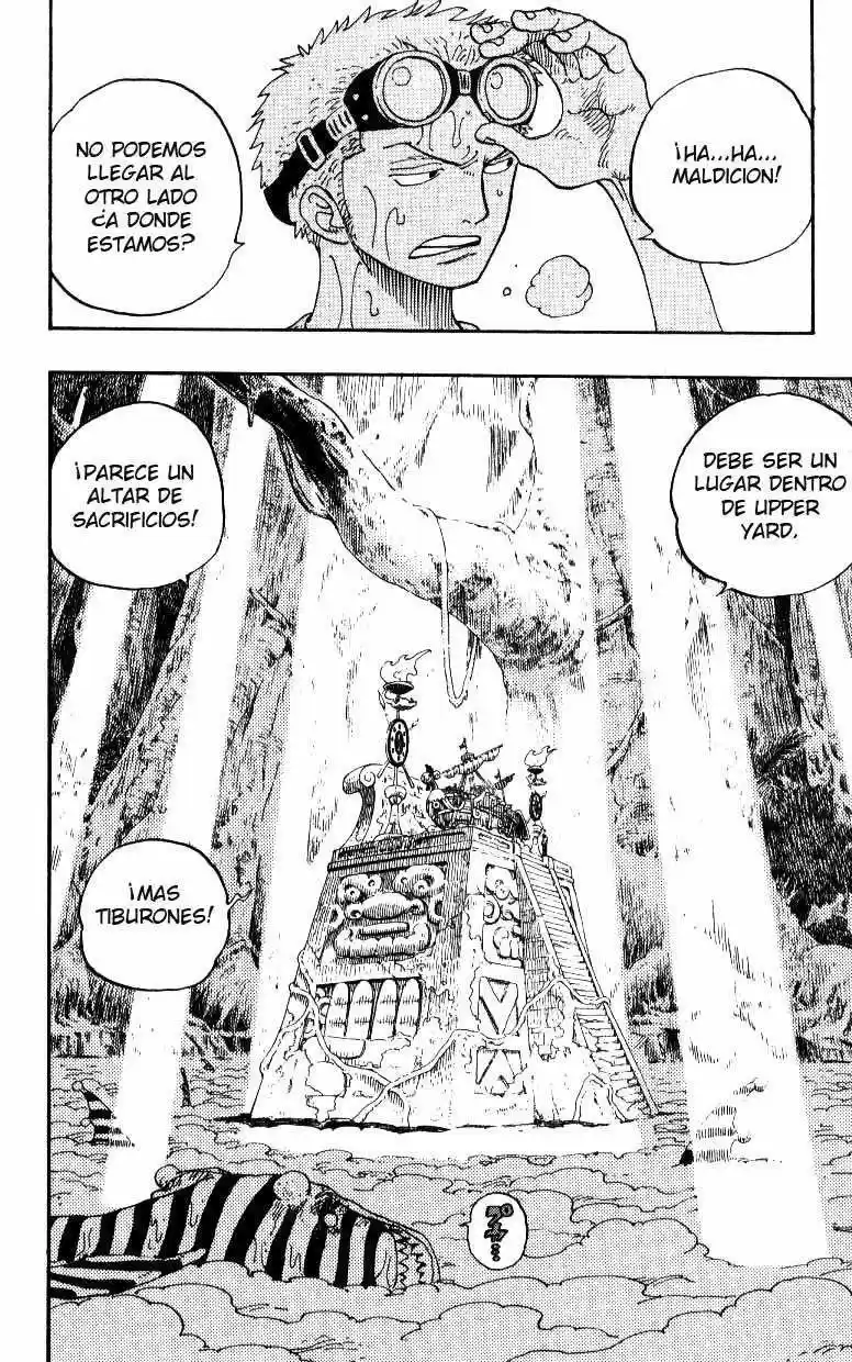 One Piece (1997) - Capítulo 245 - Página 12 - LectorTMOo