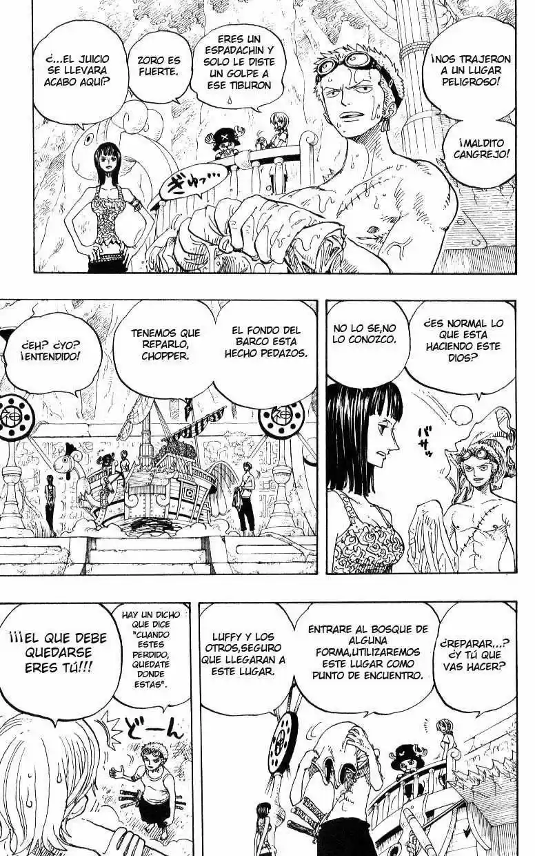 One Piece (1997) - Capítulo 245 - Página 13 - LectorTMOo