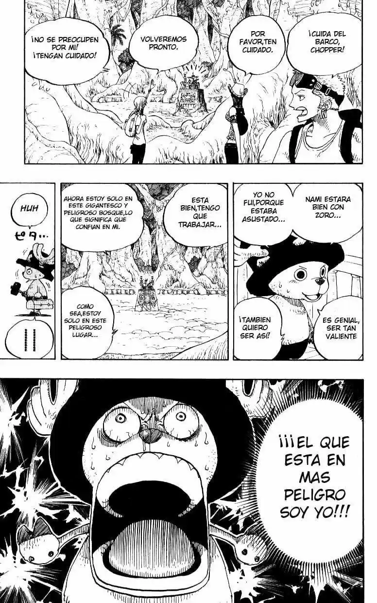 One Piece (1997) - Capítulo 245 - Página 17 - LectorTMOo