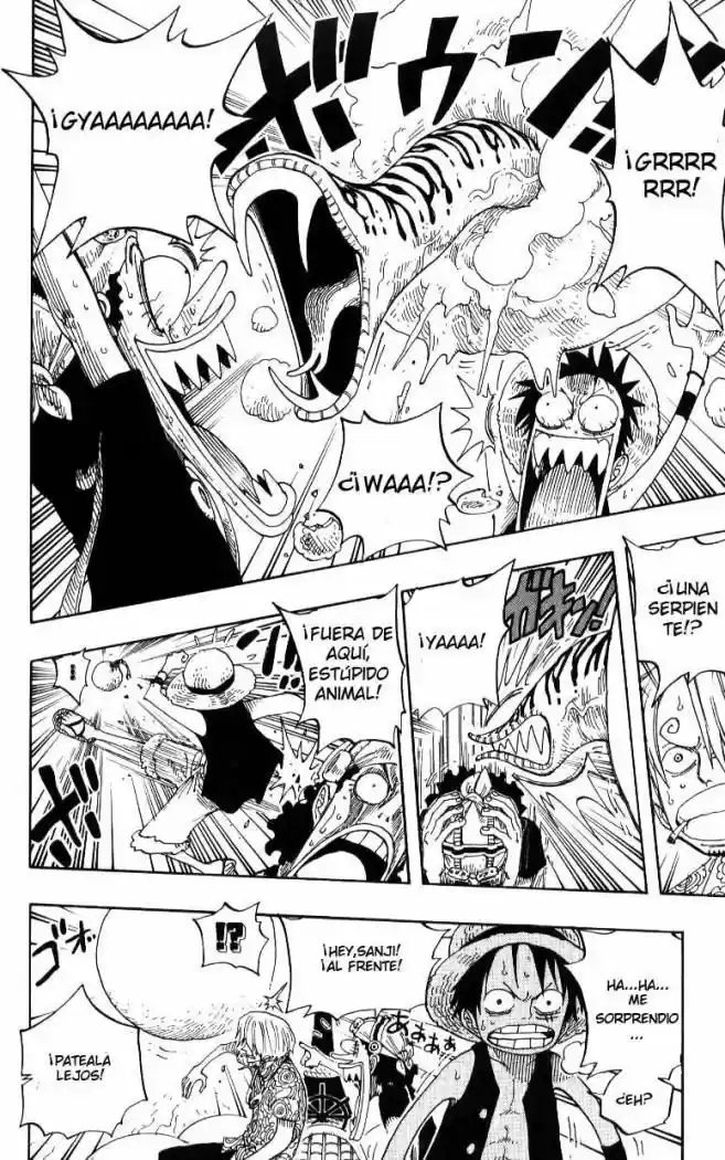One Piece (1997) - Capítulo 246 - Página 10 - LectorTMOo