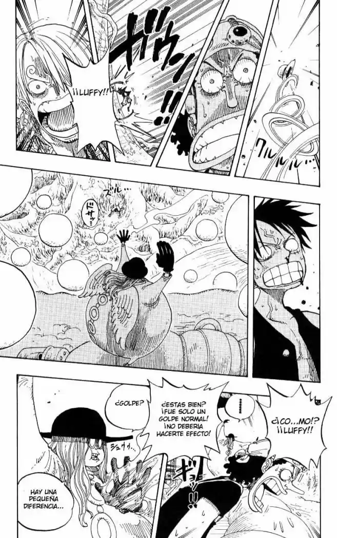 One Piece (1997) - Capítulo 246 - Página 15 - LectorTMOo