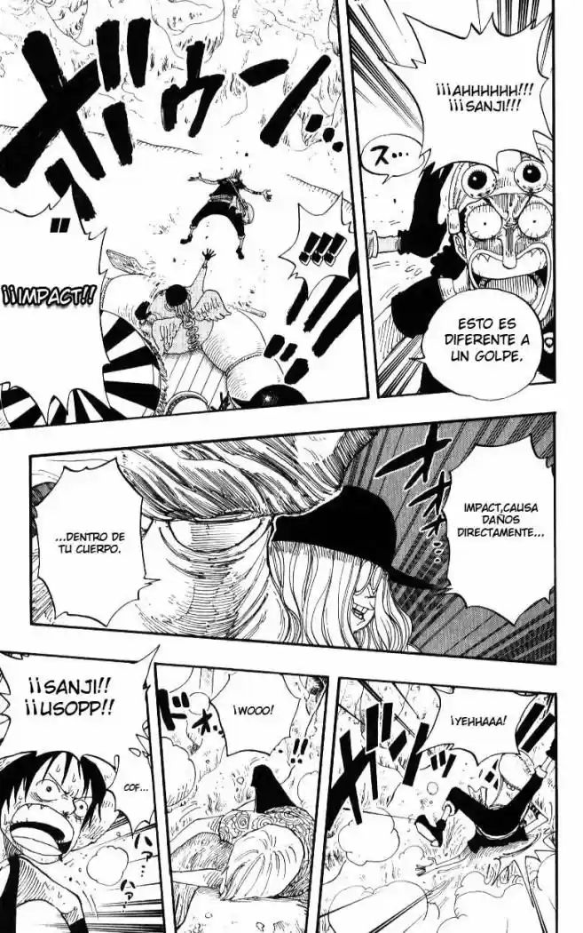 One Piece (1997) - Capítulo 246 - Página 17 - LectorTMOo