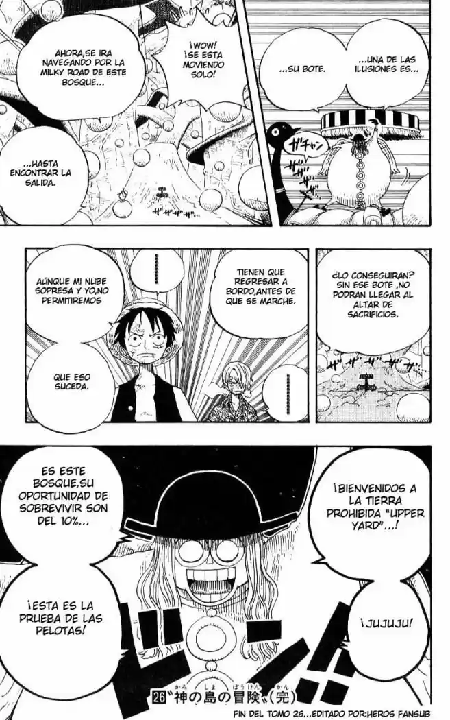 One Piece (1997) - Capítulo 246 - Página 19 - LectorTMOo
