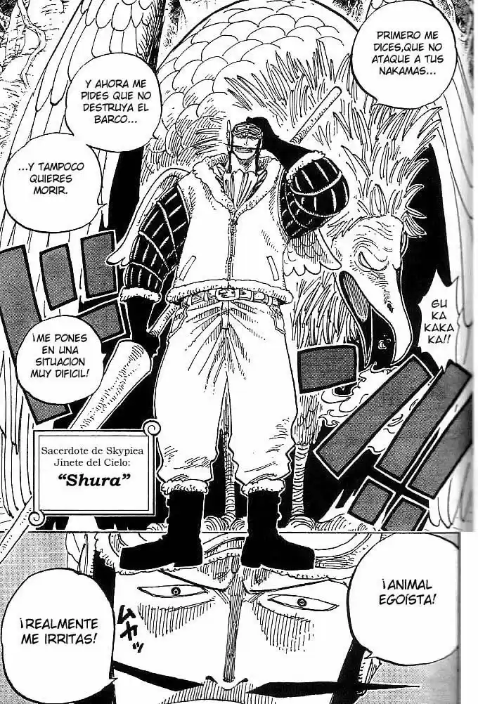 One Piece (1997) - Capítulo 248 - Página 11 - LectorTMOo