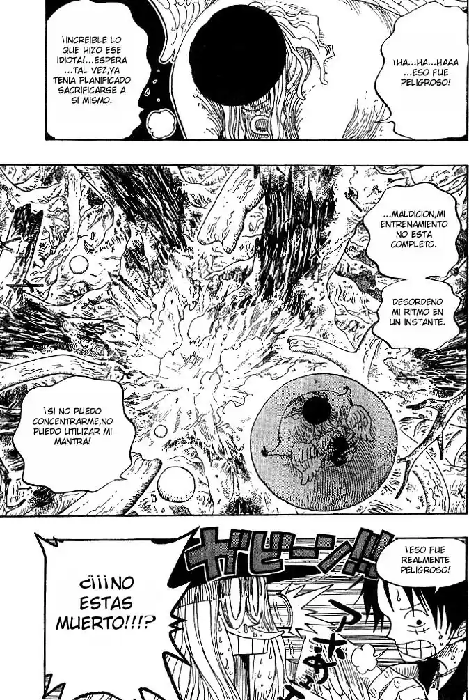 One Piece (1997) - Capítulo 250 - Página 13 - LectorTMOo