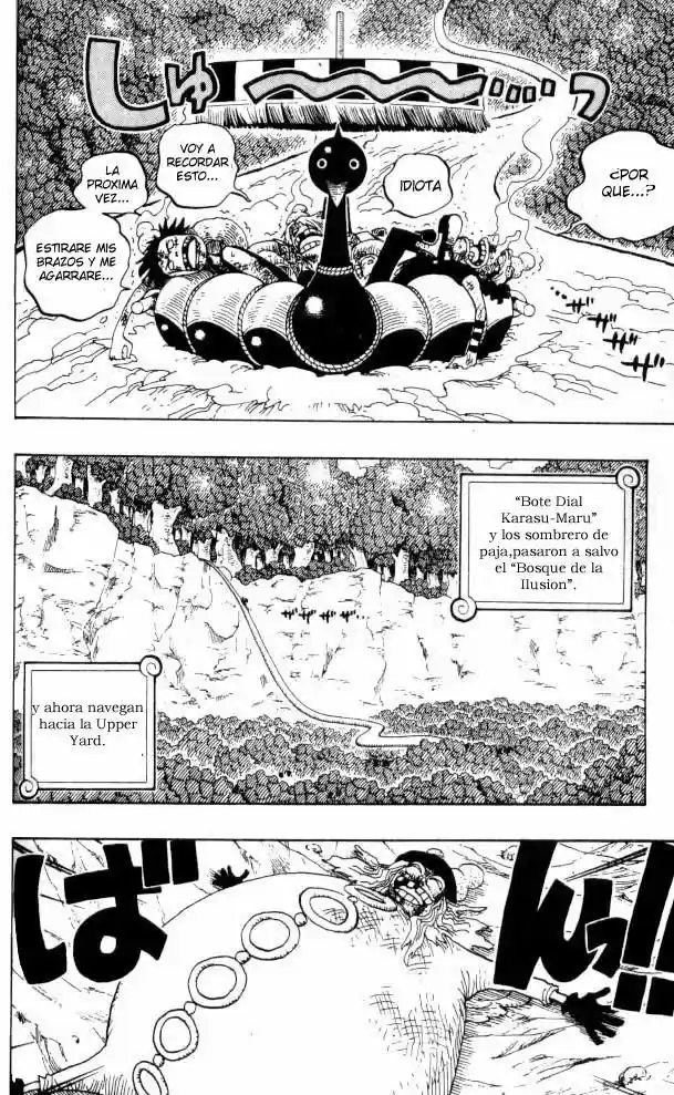 One Piece (1997) - Capítulo 251 - Página 6 - LectorTMOo