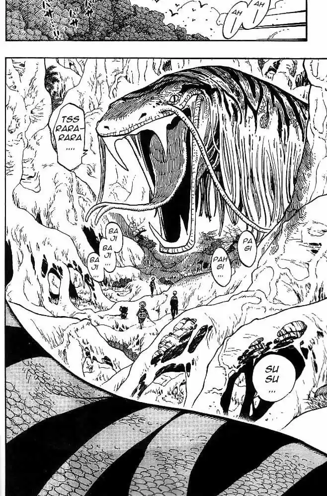 One Piece (1997) - Capítulo 255 - Página 4 - LectorTMOo