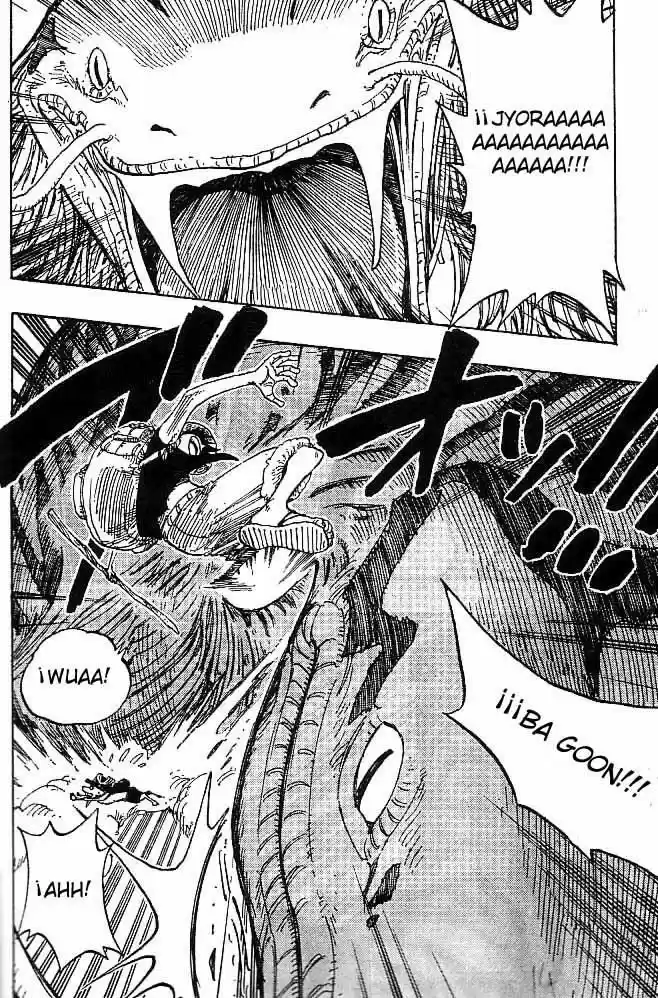 One Piece (1997) - Capítulo 255 - Página 14 - LectorTMOo