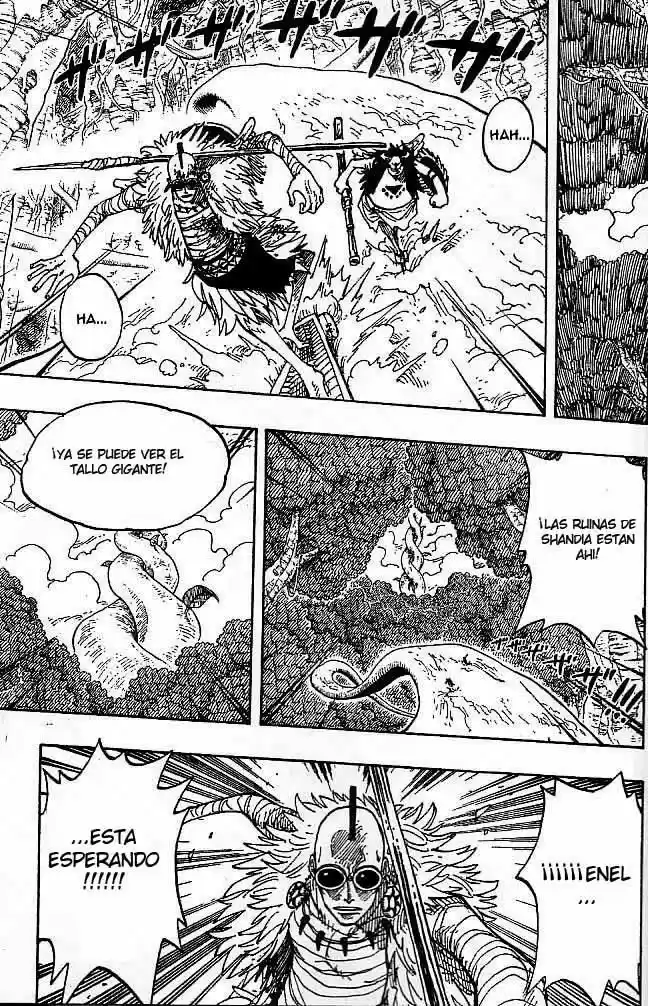One Piece (1997) - Capítulo 263 - Página 5 - LectorTMOo