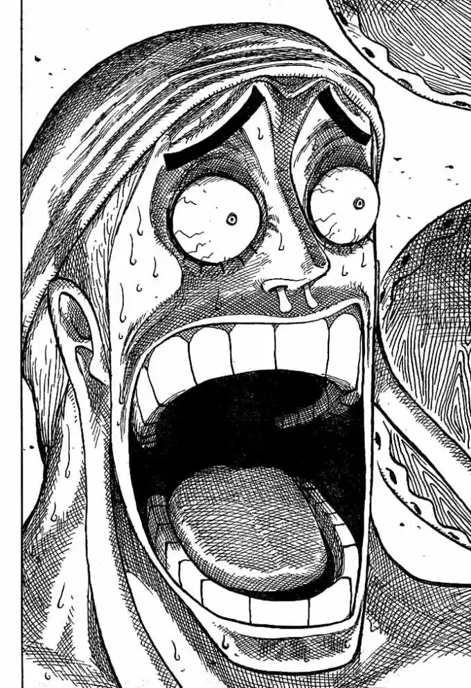 One Piece (1997) - Capítulo 279 - Página 16 - LectorTMOo