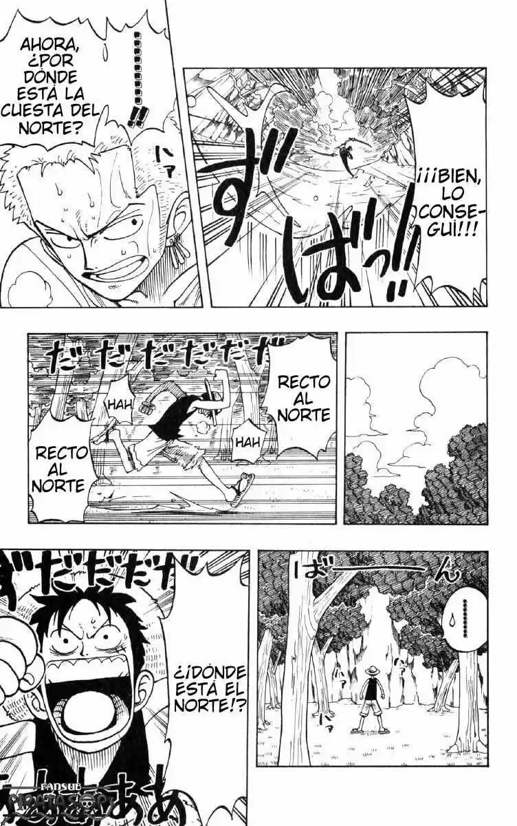 One Piece (1997) - Capítulo 29 - Página 11 - LectorTMOo