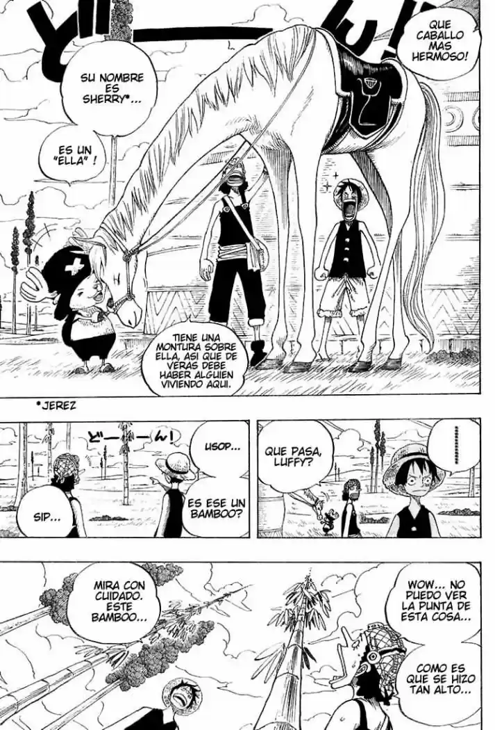 One Piece (1997) - Capítulo 304 - Página 15 - LectorTMOo