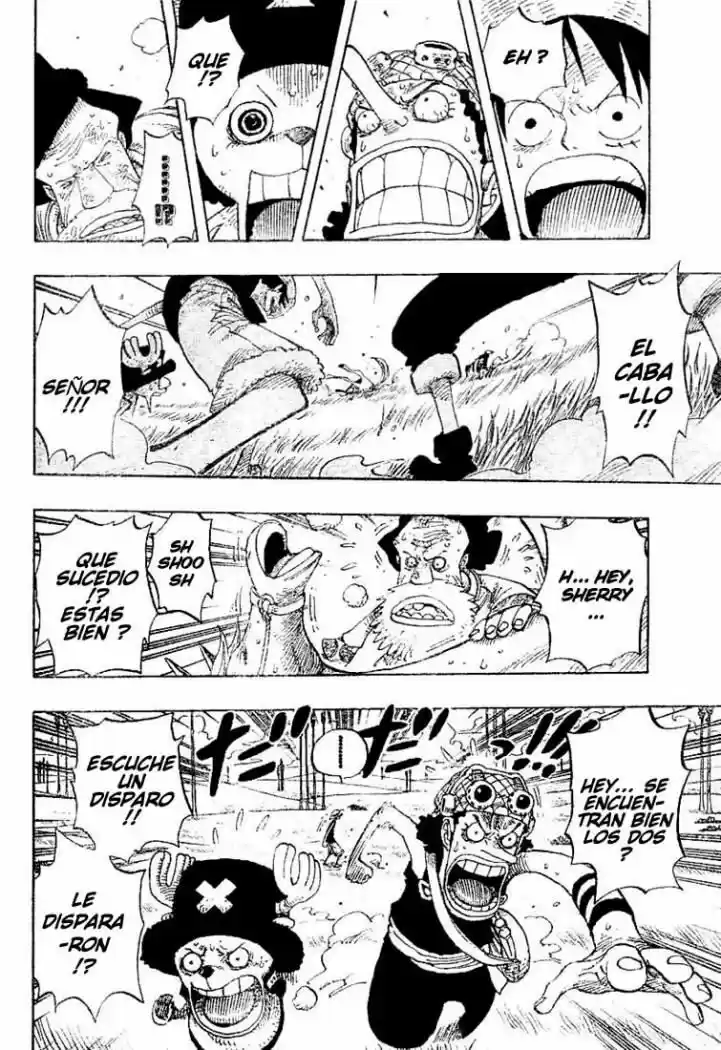 One Piece (1997) - Capítulo 305 - Página 14 - LectorTMOo