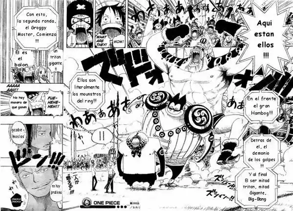 One Piece (1997) - Capítulo 309 - Página 17 - LectorTMOo