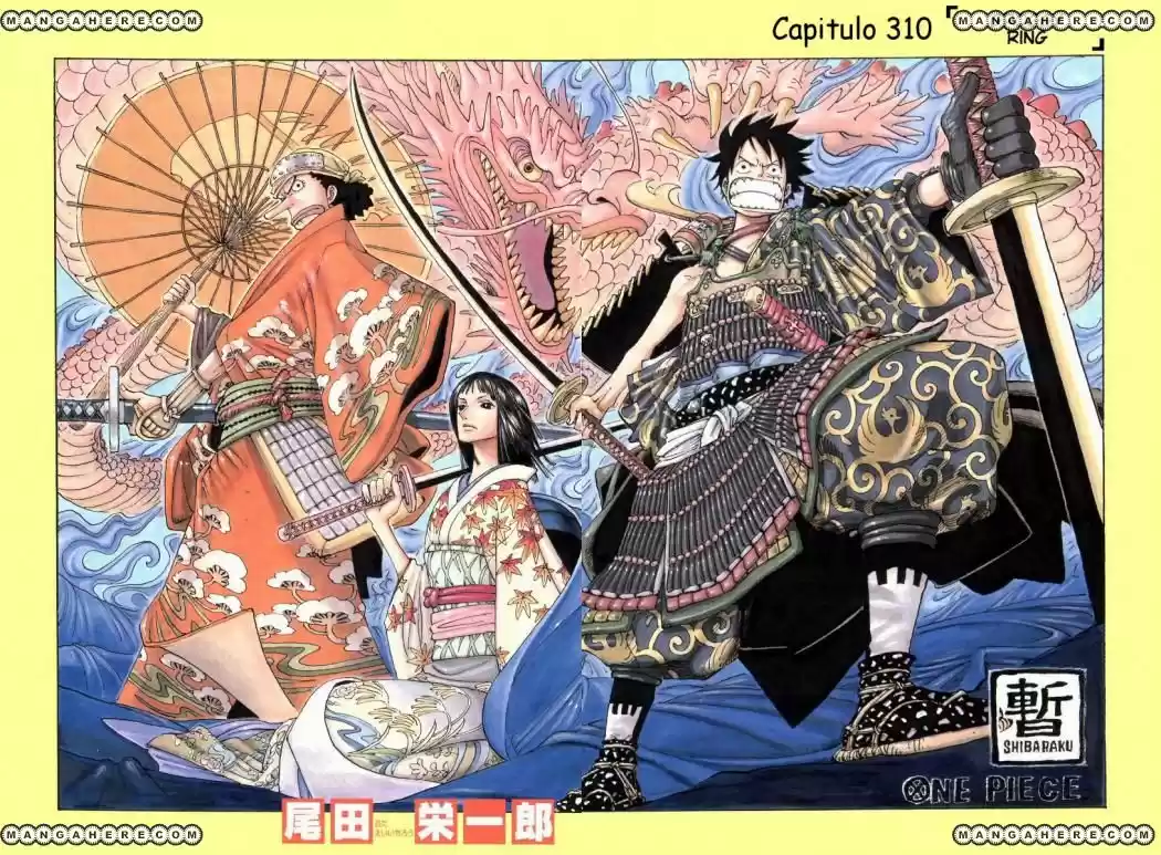 One Piece (1997) - Capítulo 310 - Página 1 - LectorTMOo