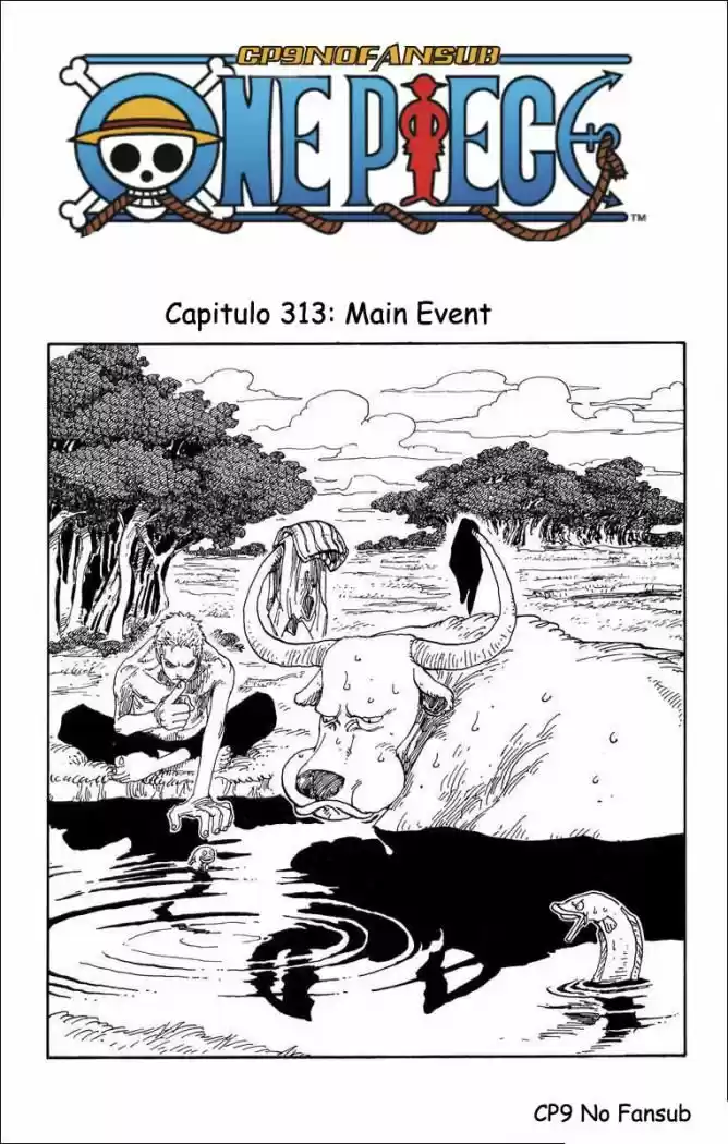One Piece (1997) - Capítulo 313 - Página 1 - LectorTMOo