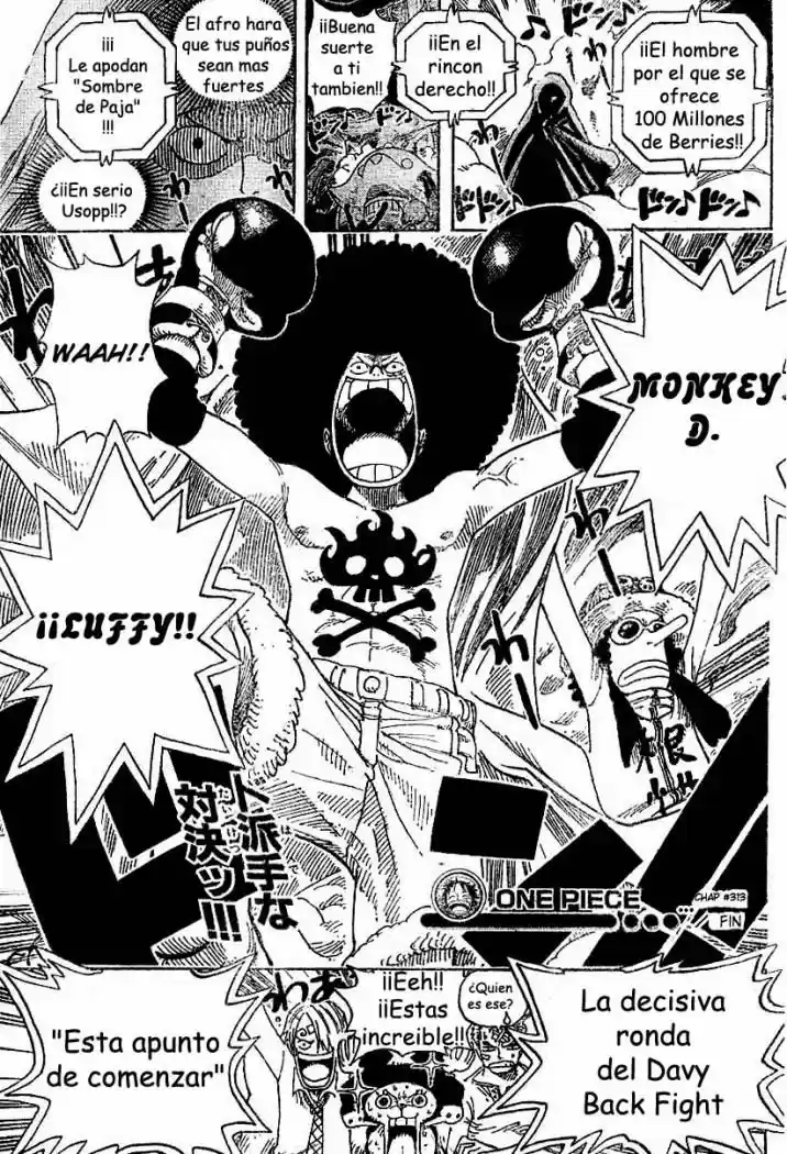One Piece (1997) - Capítulo 313 - Página 19 - LectorTMOo