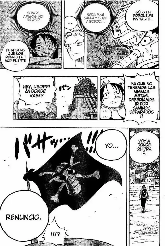 One Piece (1997) - Capítulo 331 - Página 17 - LectorTMOo