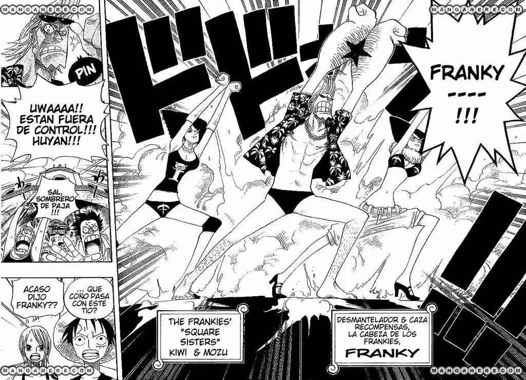 One Piece (1997) - Capítulo 335 - Página 14 - LectorTMOo