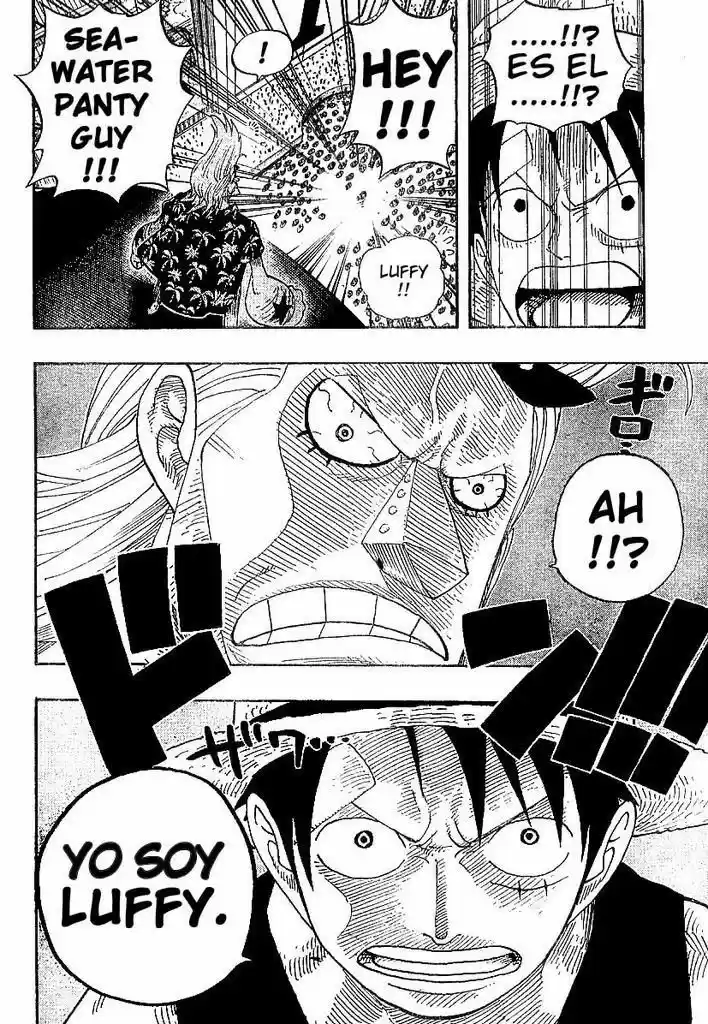 One Piece (1997) - Capítulo 335 - Página 15 - LectorTMOo