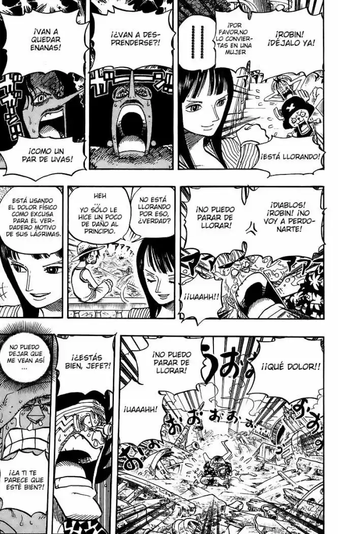One Piece (1997) - Capítulo 437 - Página 13 - LectorTMOo