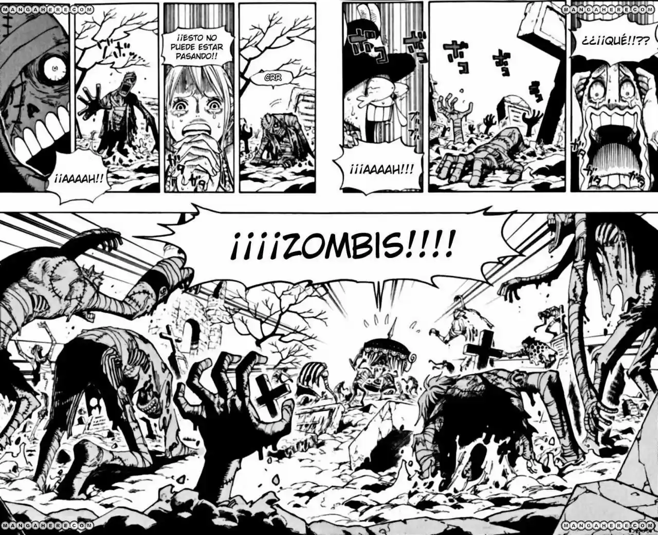 One Piece (1997) - Capítulo 445 - Página 11 - LectorTMOo