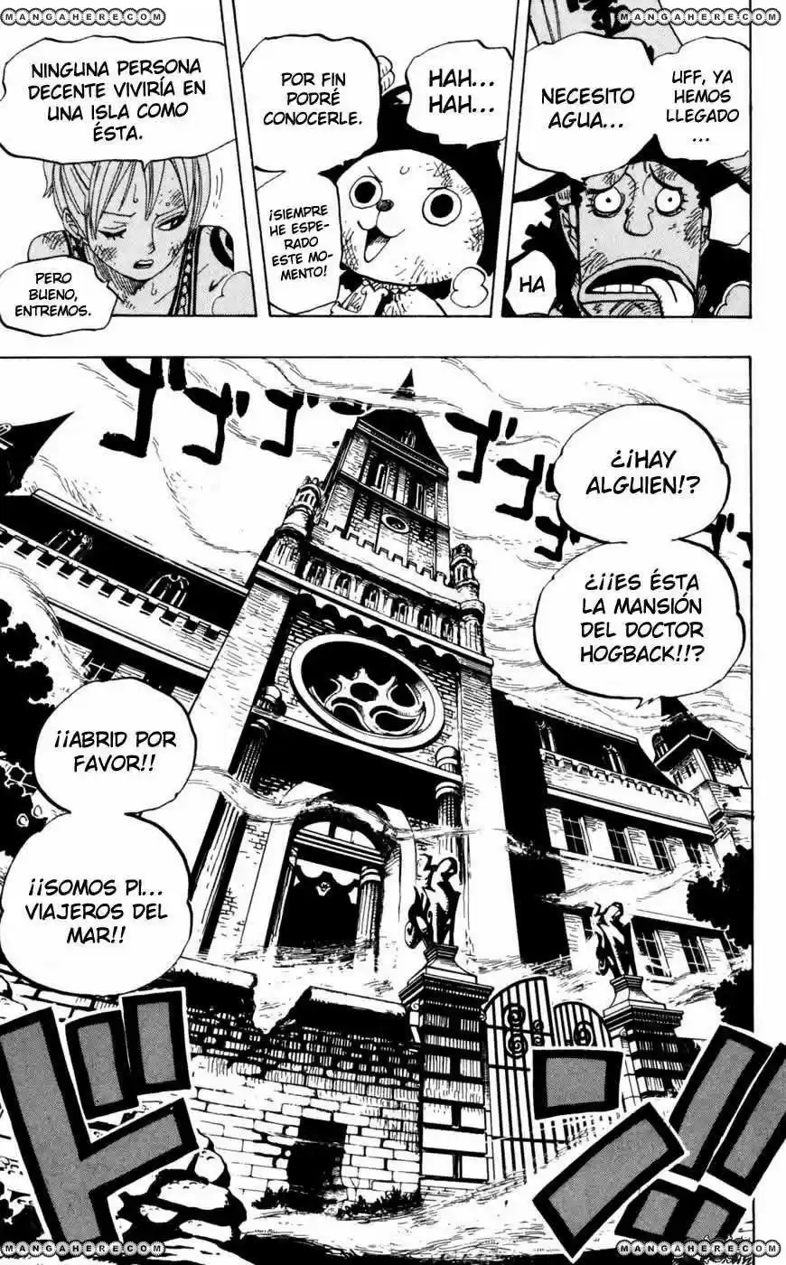 One Piece (1997) - Capítulo 445 - Página 17 - LectorTMOo