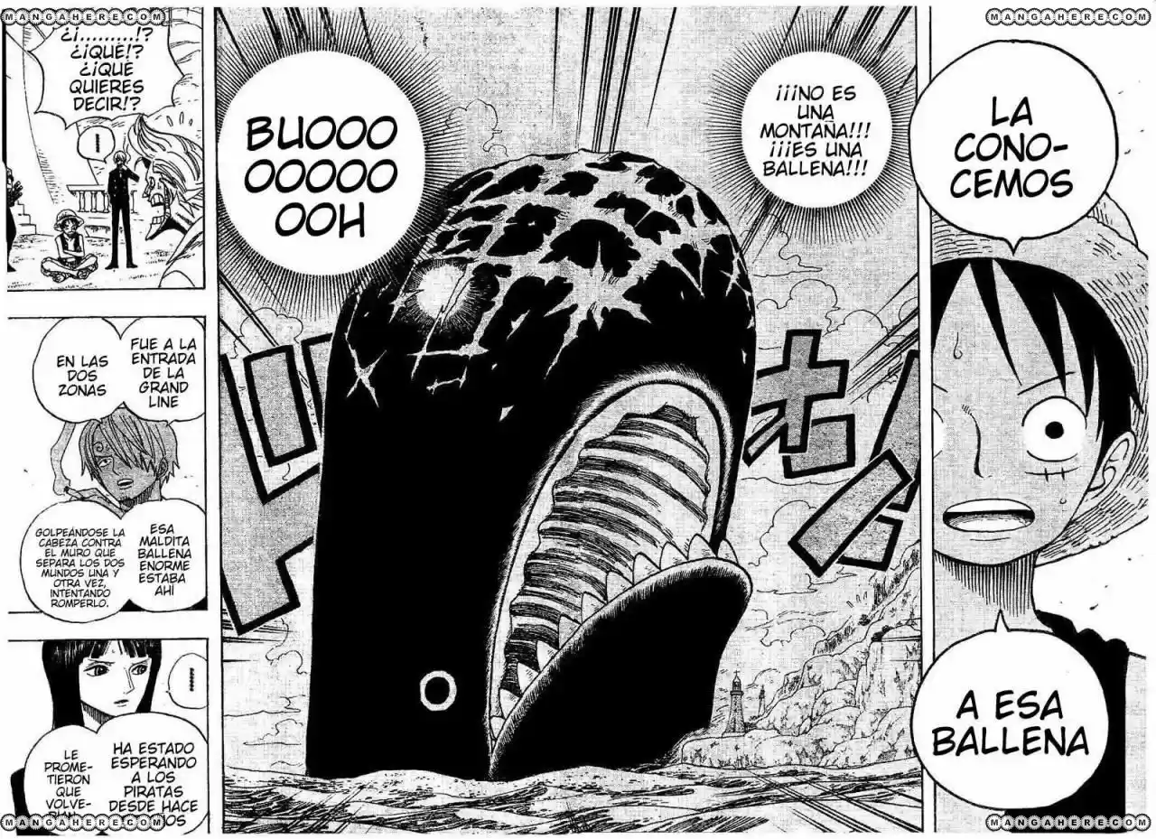 One Piece (1997) - Capítulo 459 - Página 12 - LectorTMOo