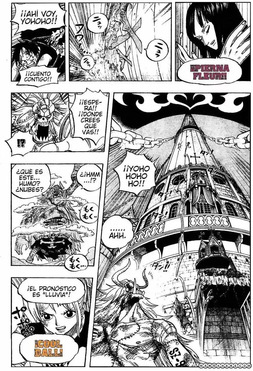 One Piece (1997) - Capítulo 480 - Página 9 - LectorTMOo