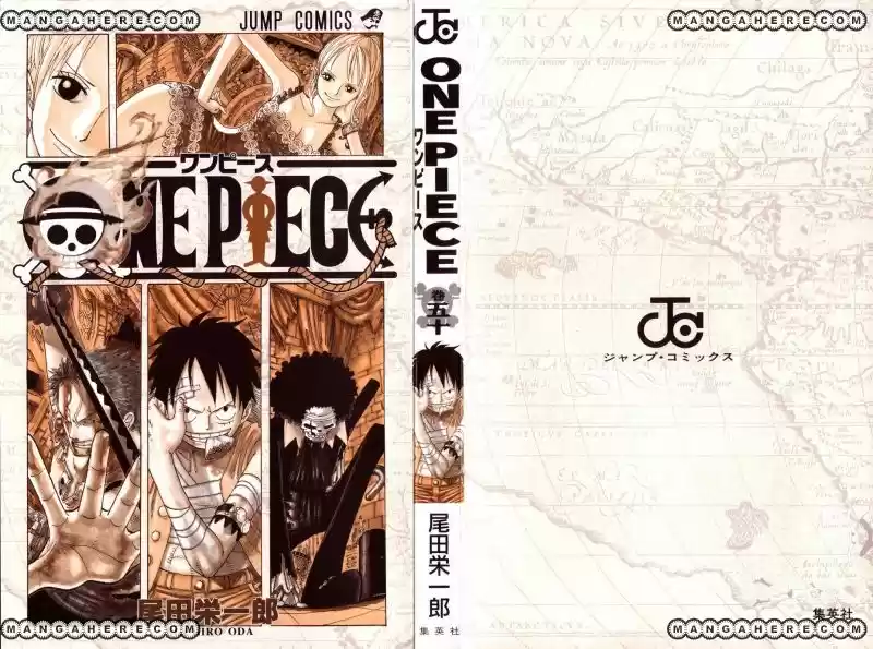 One Piece (1997) - Capítulo 482 - Página 3 - LectorTMOo
