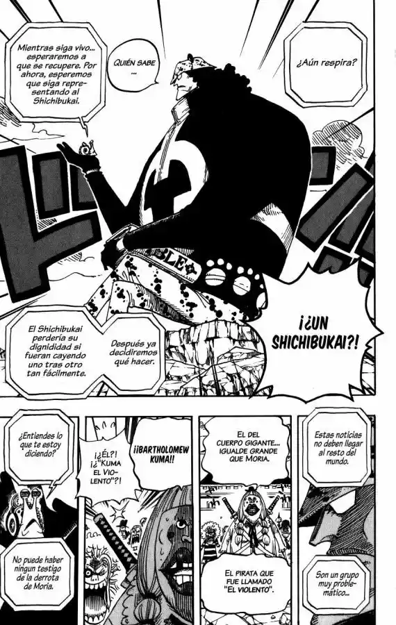 One Piece (1997) - Capítulo 483 - Página 14 - LectorTMOo