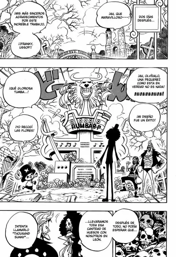 One Piece (1997) - Capítulo 489 - Página 10 - LectorTMOo