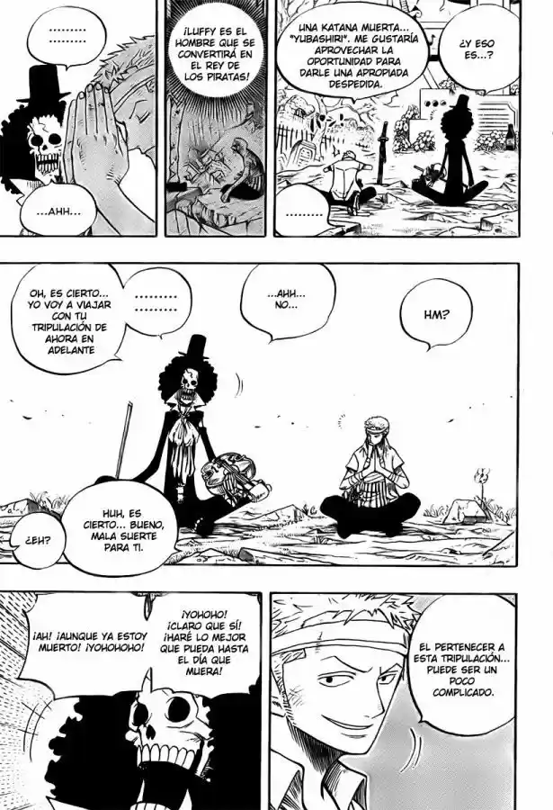 One Piece (1997) - Capítulo 489 - Página 12 - LectorTMOo