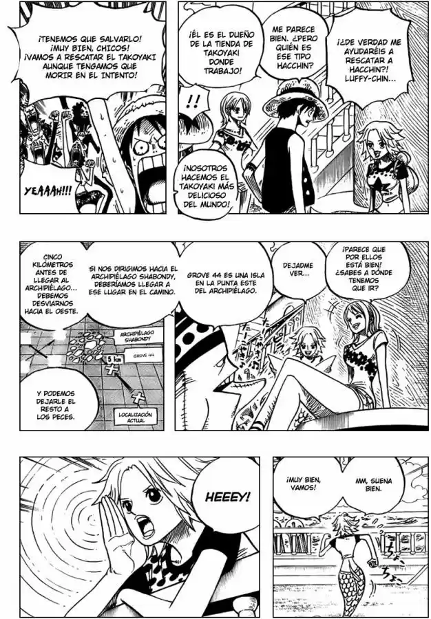 One Piece (1997) - Capítulo 491 - Página 10 - LectorTMOo