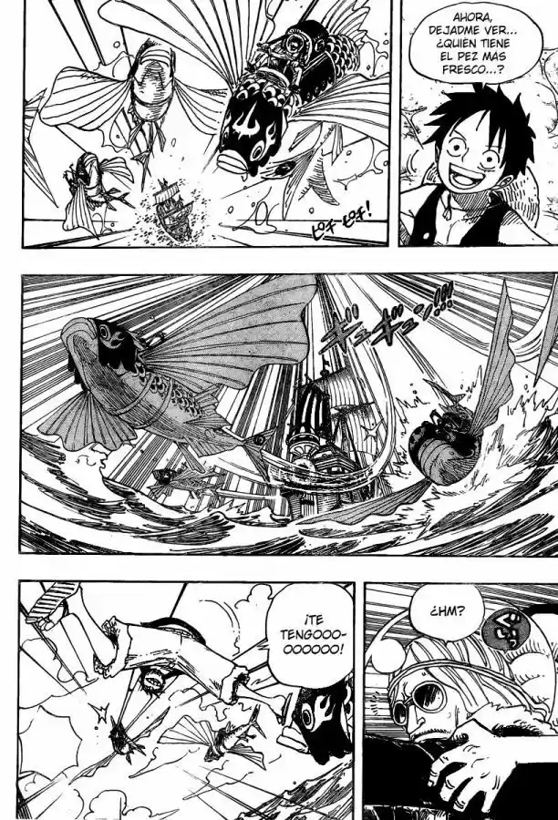 One Piece (1997) - Capítulo 493 - Página 5 - LectorTMOo