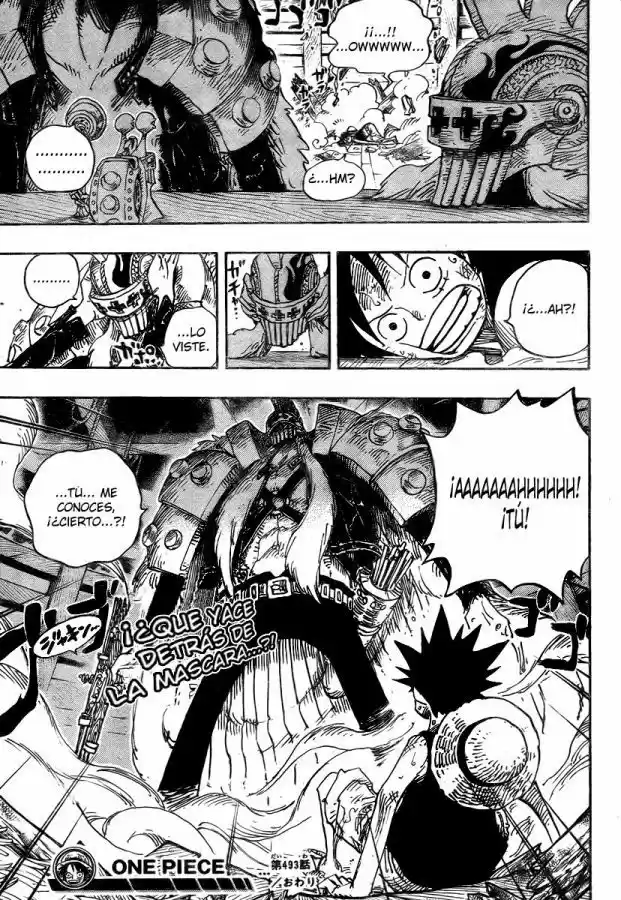 One Piece (1997) - Capítulo 493 - Página 20 - LectorTMOo