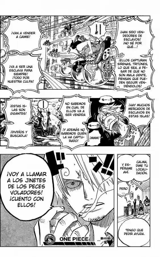 One Piece (1997) - Capítulo 499 - Página 18 - LectorTMOo