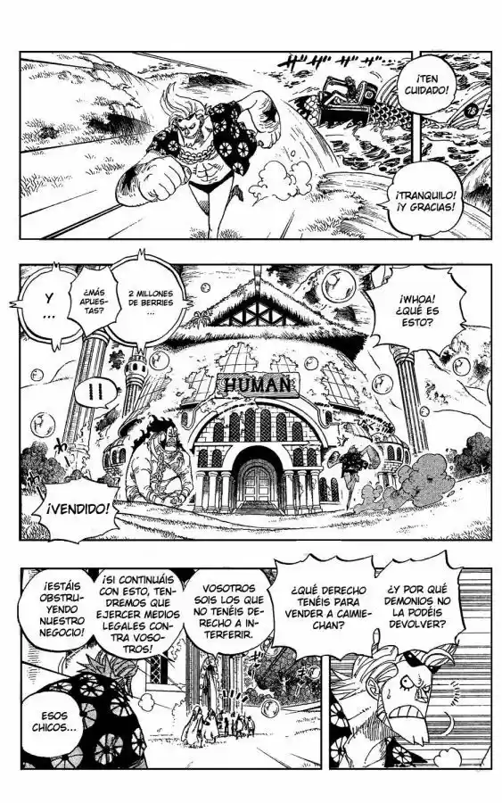 One Piece (1997) - Capítulo 501 - Página 11 - LectorTMOo