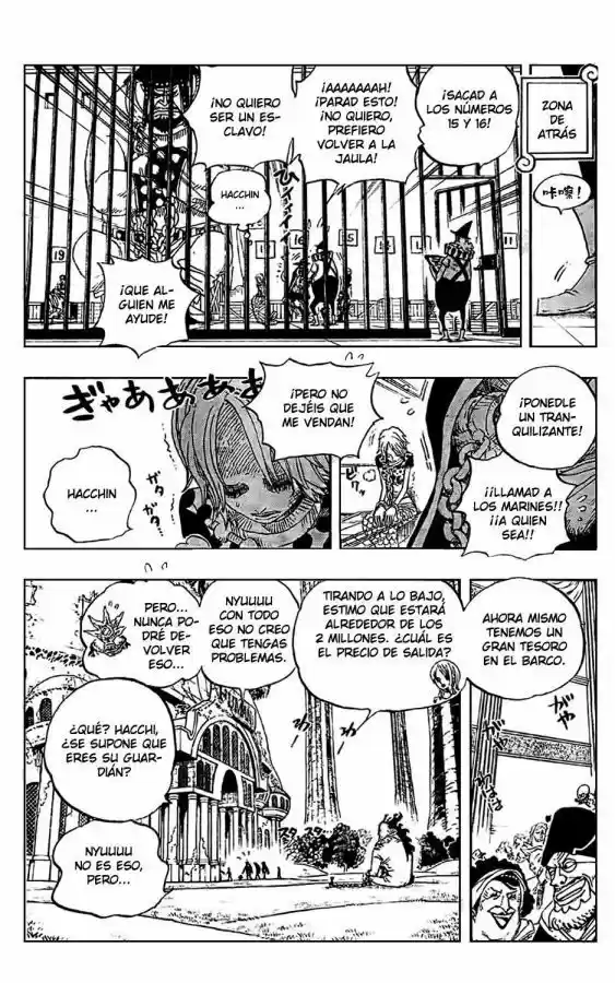 One Piece (1997) - Capítulo 501 - Página 14 - LectorTMOo