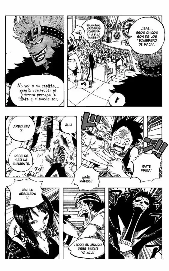 One Piece (1997) - Capítulo 501 - Página 16 - LectorTMOo