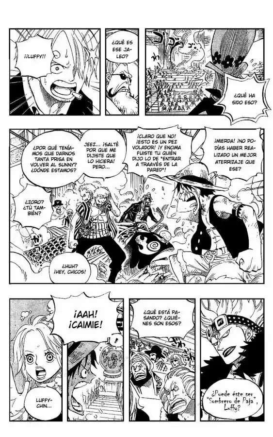 One Piece (1997) - Capítulo 502 - Página 11 - LectorTMOo