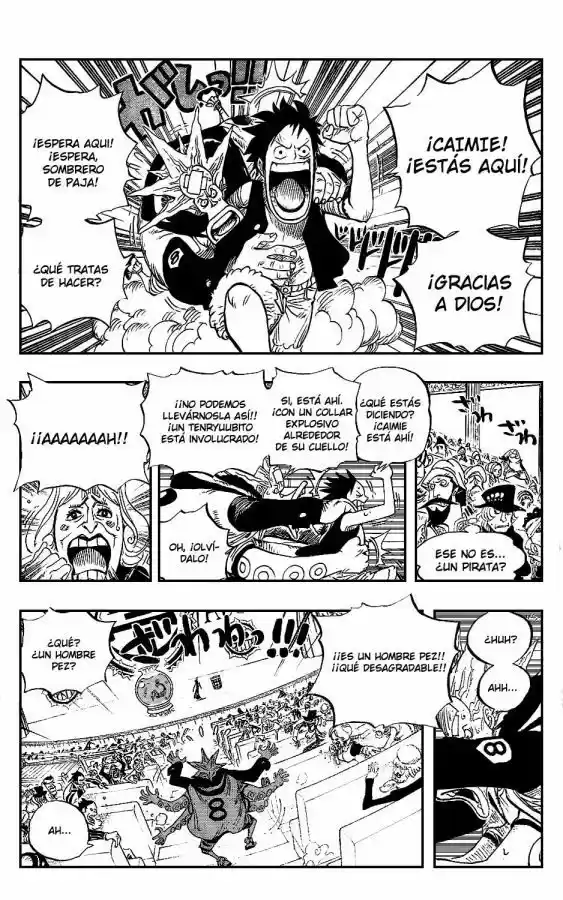 One Piece (1997) - Capítulo 502 - Página 12 - LectorTMOo