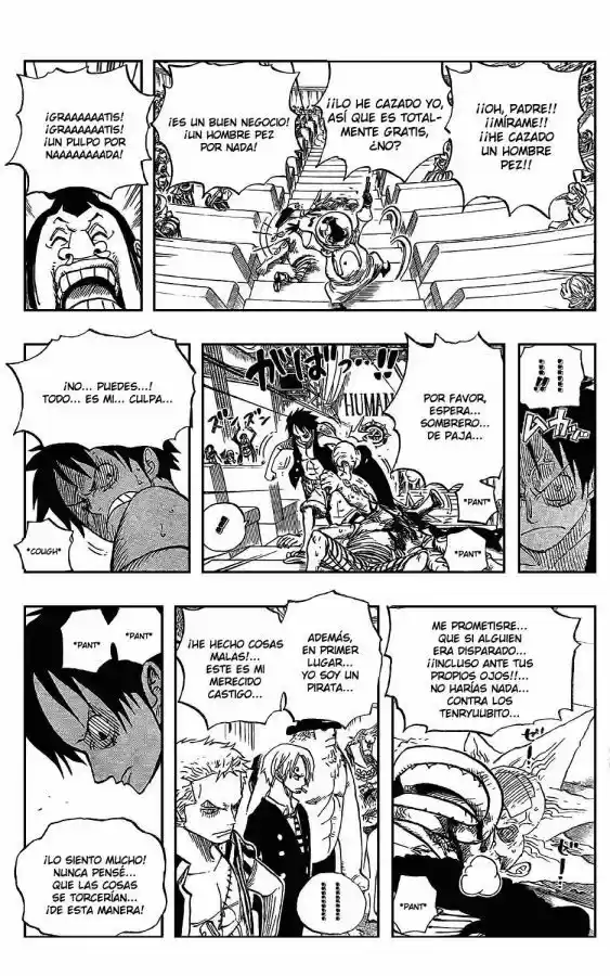 One Piece (1997) - Capítulo 502 - Página 16 - LectorTMOo