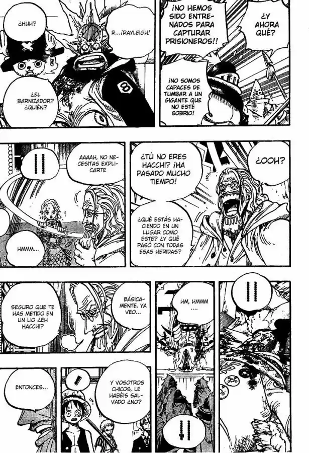 One Piece (1997) - Capítulo 503 - Página 17 - LectorTMOo
