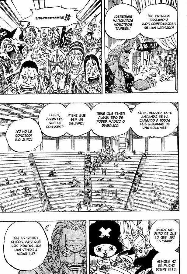 One Piece (1997) - Capítulo 504 - Página 11 - LectorTMOo