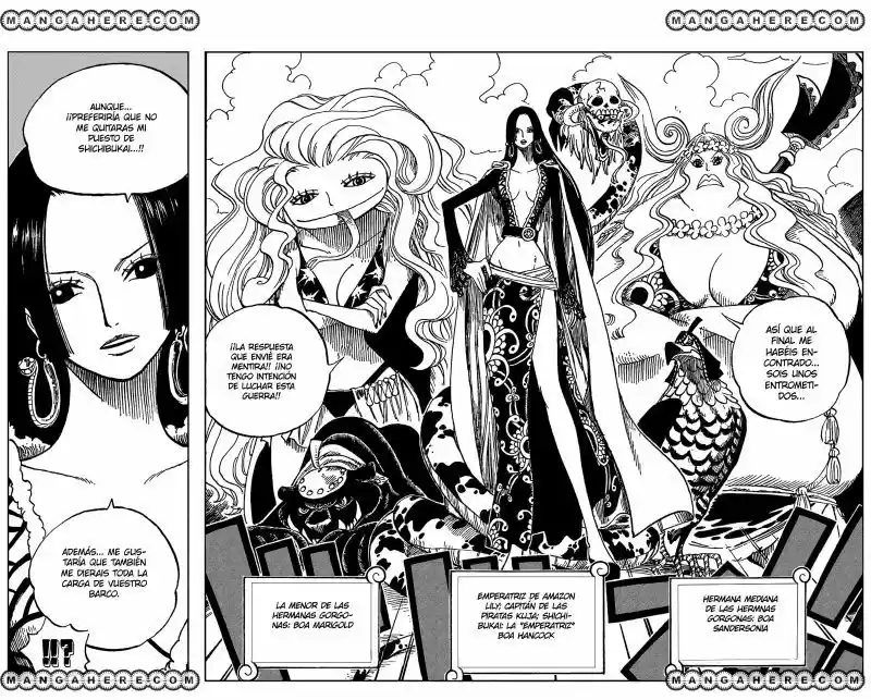 One Piece (1997) - Capítulo 516 - Página 11 - LectorTMOo