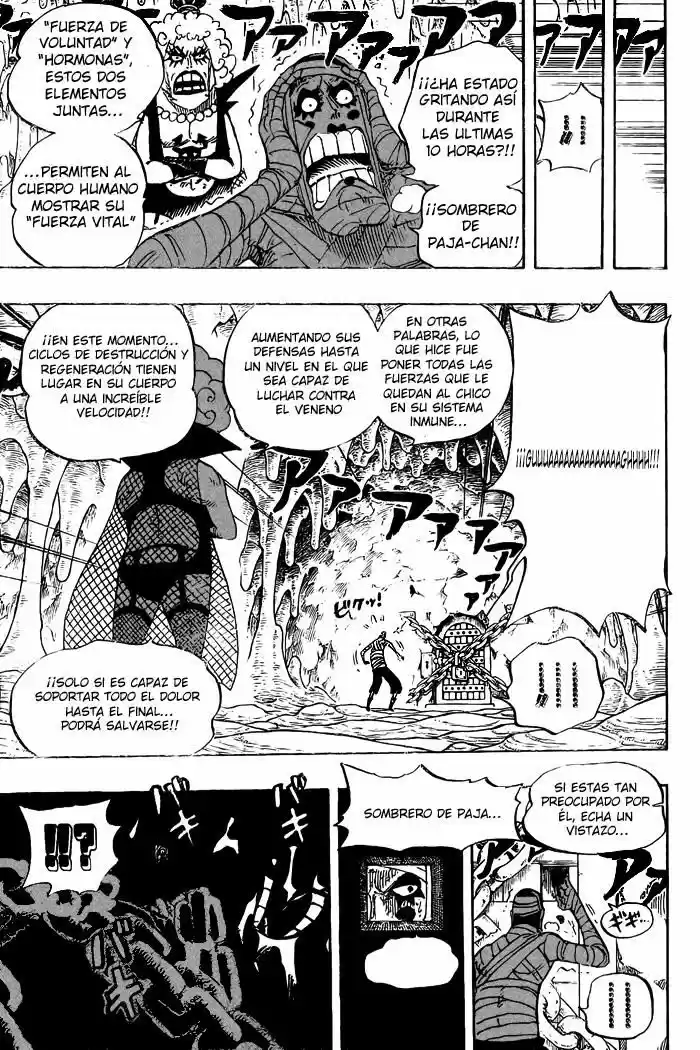 One Piece (1997) - Capítulo 538 - Página 5 - LectorTMOo